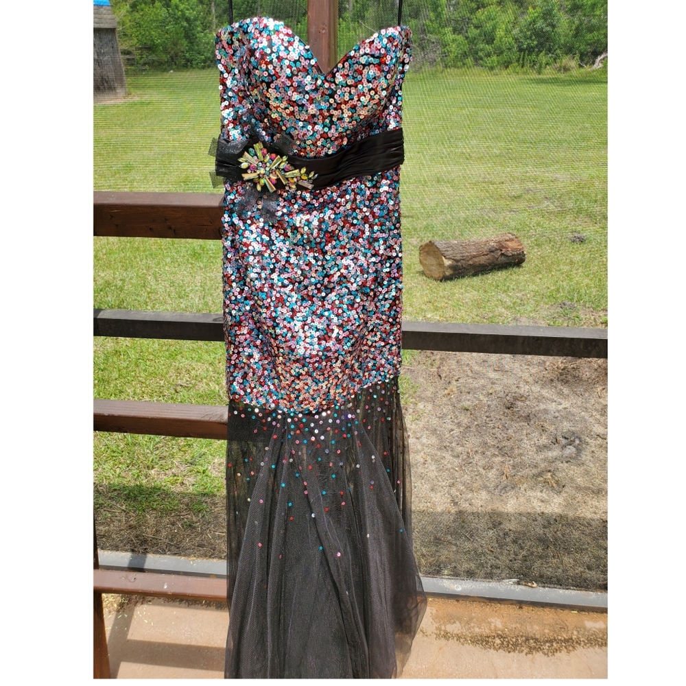 Alice Paris prom dress